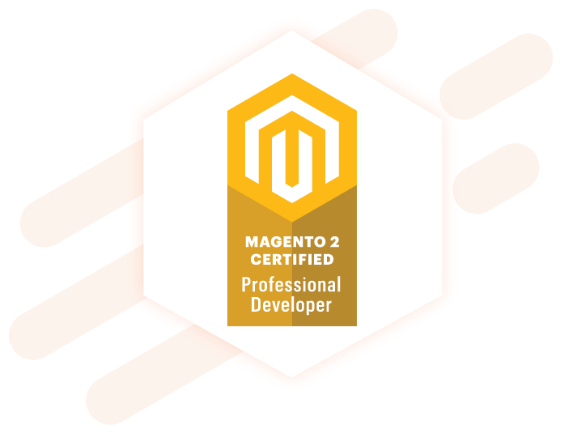 Magento Professional Developers